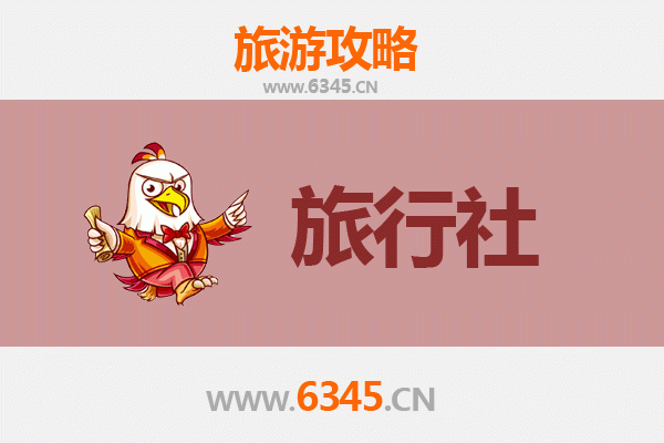 桂林阳朔本地旅行社推荐：精选靠谱地接与深度体验攻略